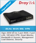 Vigor V2930