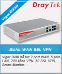 Vigor V2950