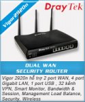 Vigor2920n