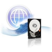 HDD 250GB WESTERN BLUE Sata