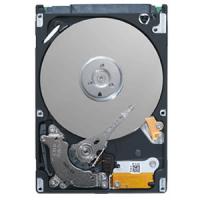 HDD Notebook 500GB Seagate