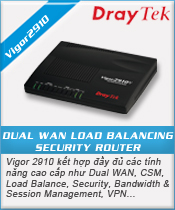 Vigor V2910