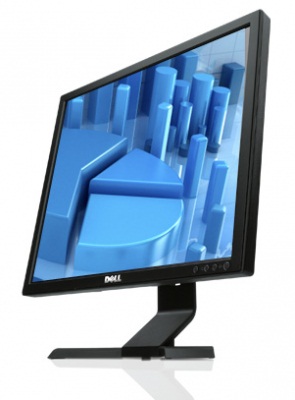Monitor Dell E1913s 19