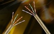 MediaTwist – Category 6 – Up to 550 MHz