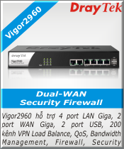  Vigor2960